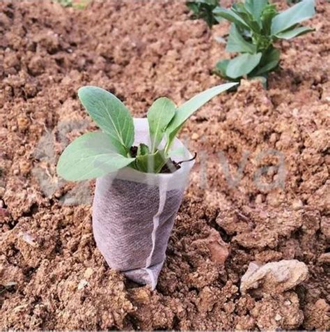 Agriculture Bag - Non Woven Agricultural Bag Manufacturer from Gondal