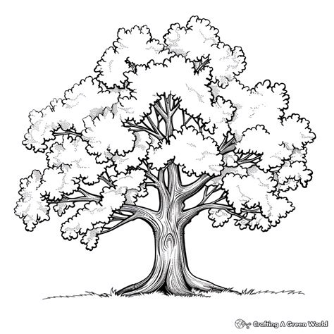 Spring Break Coloring Pages - Free & Printable!