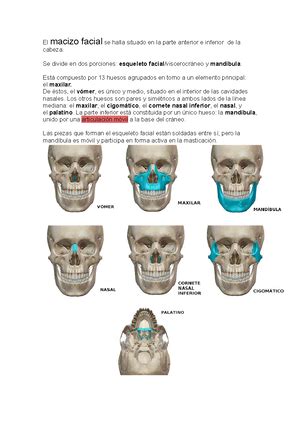 Image result for Multiple Machine Learning Models