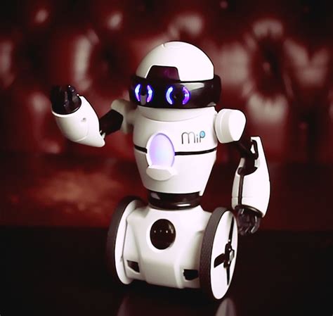 Coder MIP Robot 的图像结果
