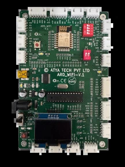 IoT Development Board