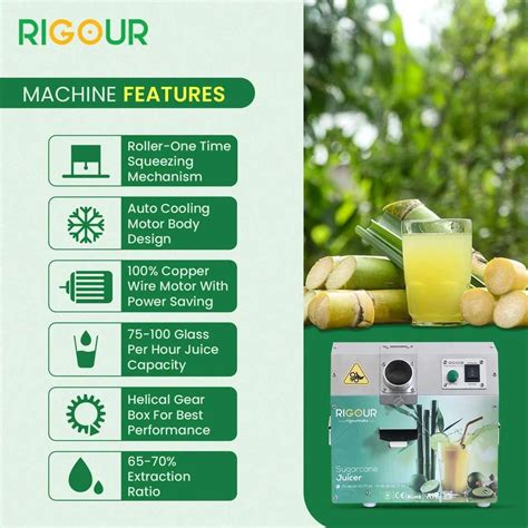 Rigour Nano Sugarcane Juice Machine SS-304 - 250 W Food Processor Price ...