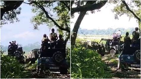 VIDEO: Rhino Tries To Overturn Tourist Jeep At Assam's Manas National Park