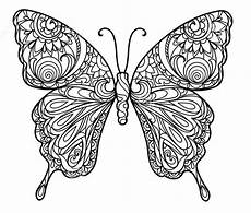 ausmalbilder schmetterling ausdrucken schmetterlinge ausmalbilder f 252 r erwachsene kostenlos zum ausmalbilder schmetterling ausdrucken schmetterlinge ausmalbilder f 252 r erwachsene kostenlos zum