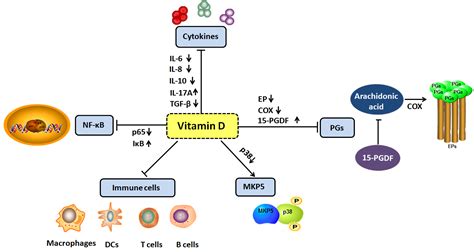 The Anti-Inflammatory Effects of Vitamin D in Tumorigenesis