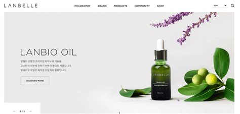 Green Website Color Schemes 的图像结果