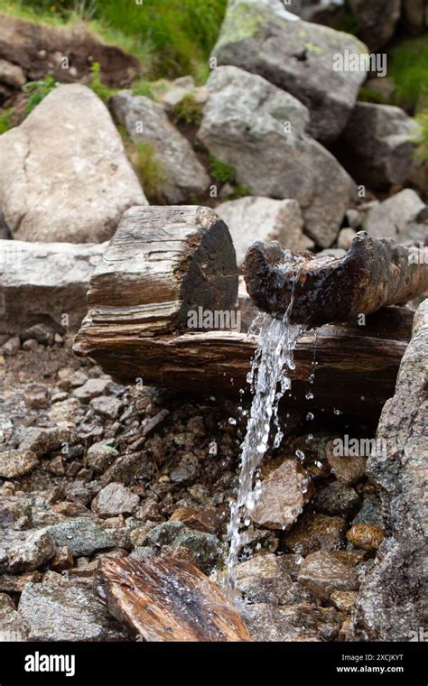 Image result for How to Find a Spring Water Source
