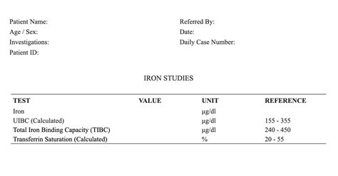 Iron Studies Report Format | MS Word & Pdf