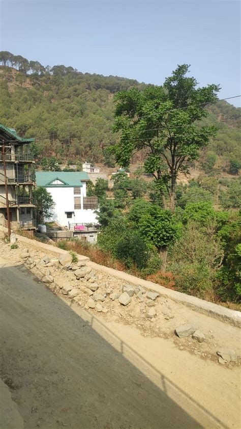 THE MAGPIE KASAULI (Sari) - B&B Reviews & Photos - Tripadvisor