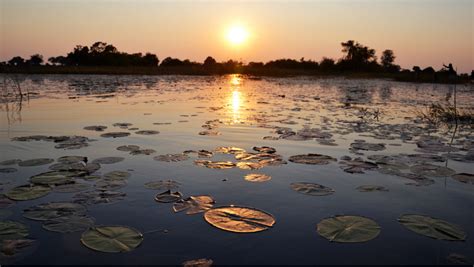 State Partnership Program 的图像结果
