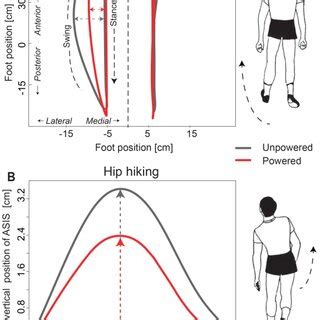 Image result for Compensatory Movement Examples