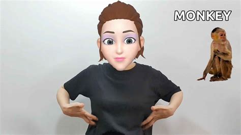 Image result for Monkey Sign Language Research