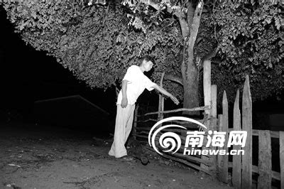 海南临高县6名村民遭雷击2人死亡(组图)_新闻中心_新浪网