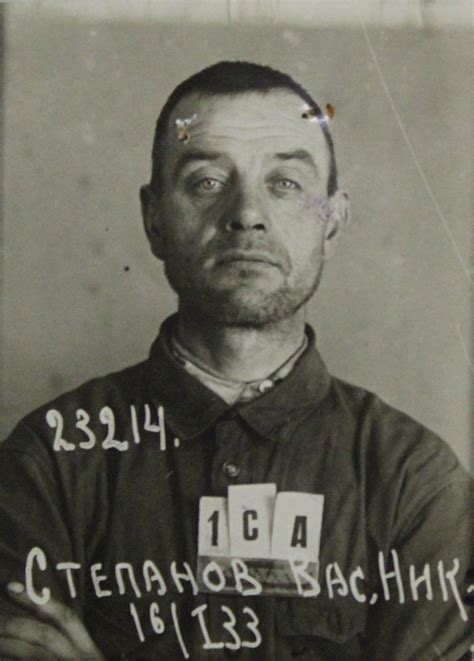 Степанов Василий Никитич (1893) — Открытый список