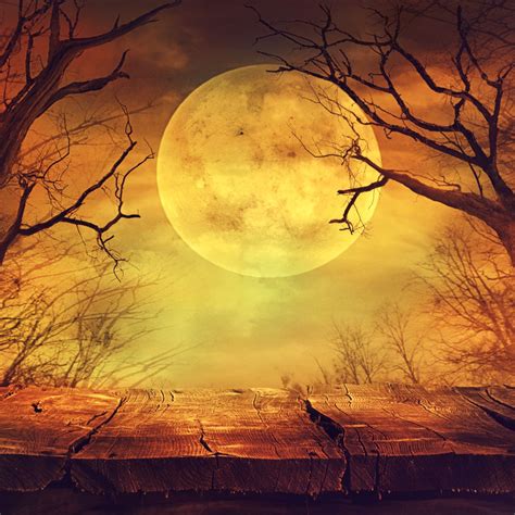 Snow Moon: spiritual meaning - Awakening State