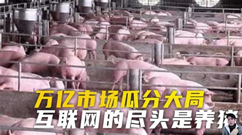 猪厂怎么建造 —【发财农业网】