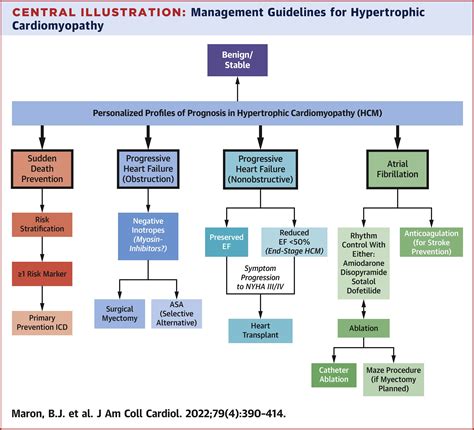 Management of Hypertrophic Cardiomyopathy: JACC State-of-the-Art Review ...