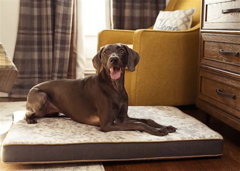 Design Your Own Custom Dog Beds | J’adore Pet Beds