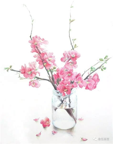 彩铅手绘 的图像结果