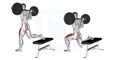 Image result for Squats Using Exercise Ball