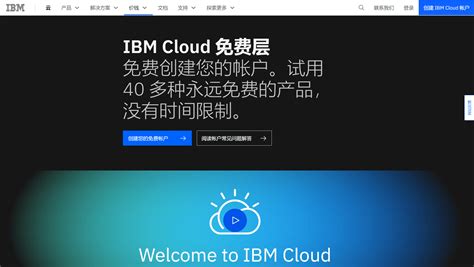 IBM Cloud Demo 的图像结果