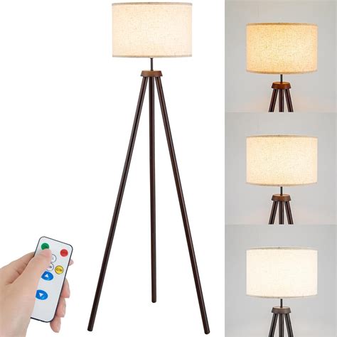 Battery Operated Floor Lamp for Living Room, Modern Battery powered ...