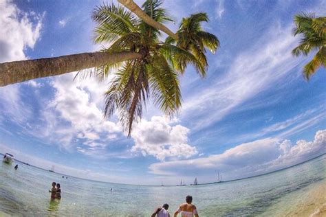 MamaJuana Travel - Santa Barbara de Samana | Tripadvisor