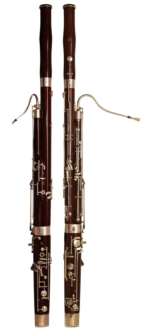 A Double Reed Instrument Has at Dennis Keeney blog
