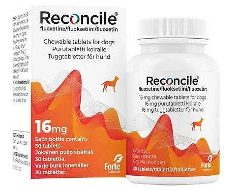 Surge in 'Puppy Prozac' as owners struggle with 'misbehaving' dogs