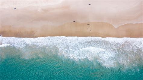 Alien Beach 的图像结果