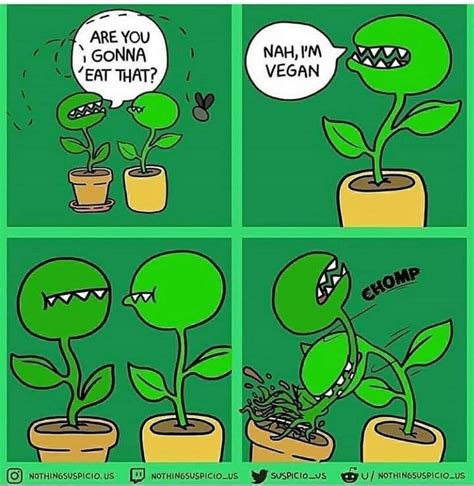 15 warm and fuzzy memes that will brighten up your day – Artofit