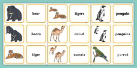 Cards With Singular And Plural Pictures And Words