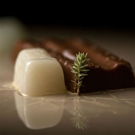 Why Is 'Occupational Health and Safety' a Particularly High-Risk Category in Extraction ...