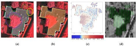 Automatic Building Outline Extraction from ALS Point Clouds by Ordered ...