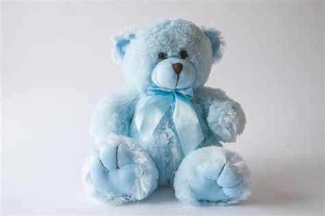 Light Blue Colour Teddy Bear at Mackenzie Warlow-davies blog