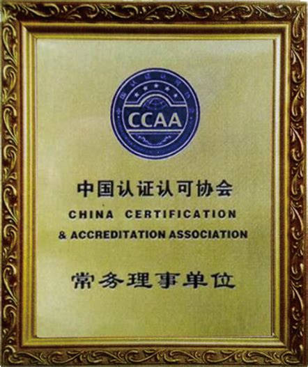 南京ISO认证_南京ISO9001认证_南京ISO14001认证_南京ISO45001认证_南京ISO27001认证_南京ISO20000认证_南京IATF16949认证_南京CMMI认证 ...