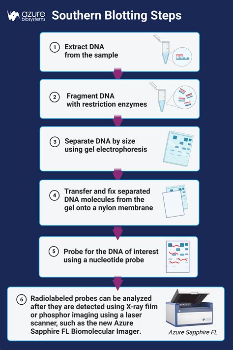 Southern Blotting - Azure Biosystems