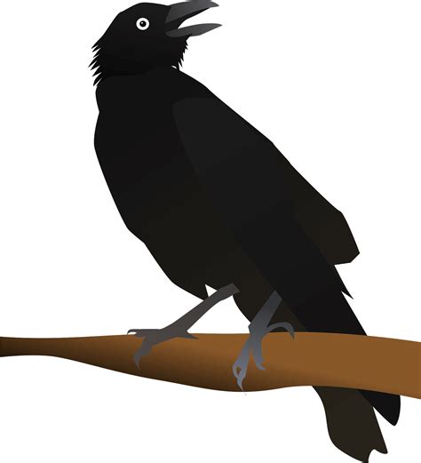 Crows Clipart Free