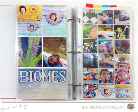 Image result for Project Life Fuse Tool