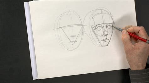 Image result for Face Structure Drawing