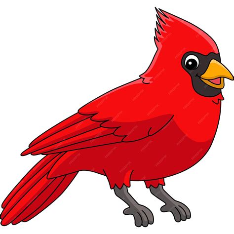 Cardinal Reading A Book Clipart