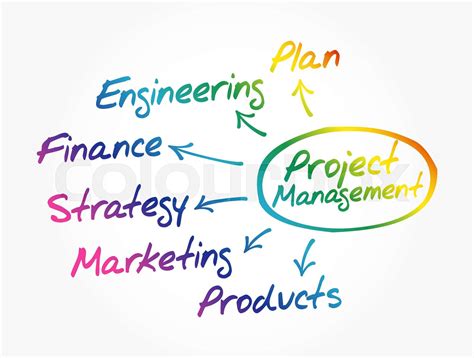 Project management mind map | Stock vector | Colourbox