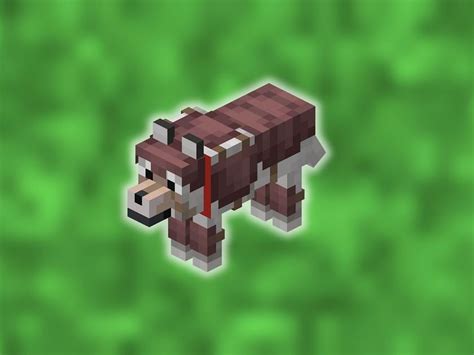 Image result for Minecraft Wolf Armor Update