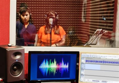 Image result for Audacity Plugin