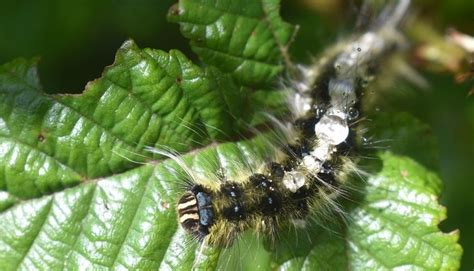 MOUNT SUSWA CONSERVANCY (2025) All You Need to Know BEFORE You Go (with ...