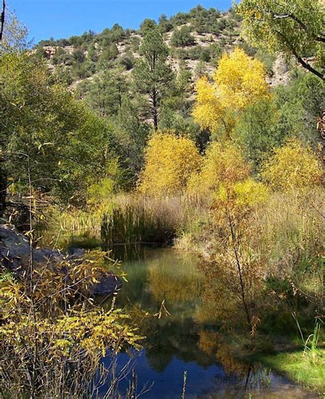 Gila 100: Birding at Sapillo Box Canyon with Dave McDonald, Near the ...