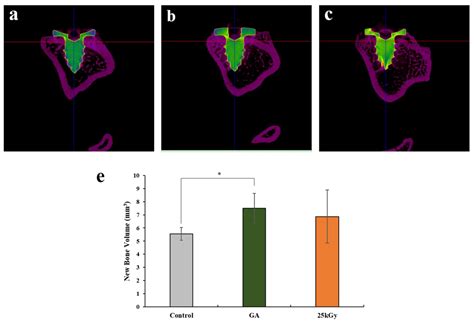 Effect of Titanium Implants Coated with Radiation-Crosslinked Collagen ...