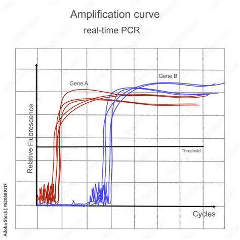 Real-Time PCR Graph 的图像结果
