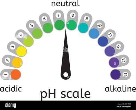vector ph scale of acidic,neutral and alkaline value chart for acid and ...