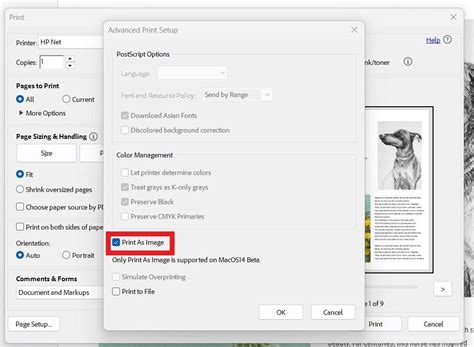 Image result for Print PDF Image App